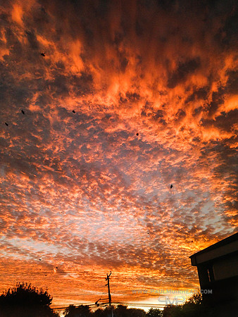 Sunset - Vienna, VA