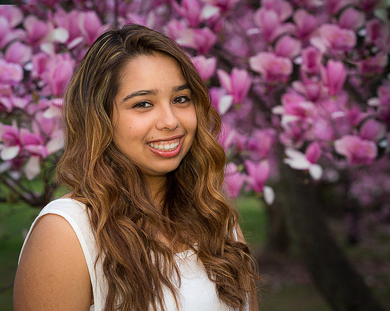 Nikki Obando quinceanera - Washington, DC - APR 2015-0621