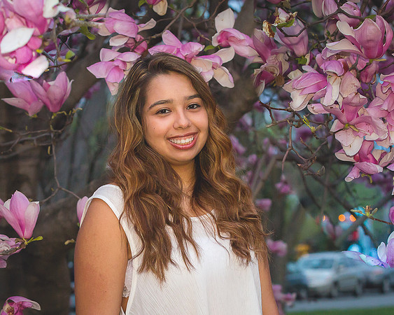 Nikki Obando quinceanera - Washington, DC - APR 2015-0630