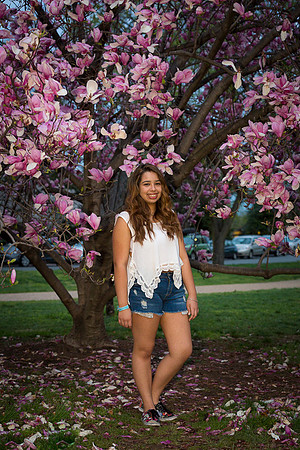 Nikki Obando quinceanera - Washington, DC - APR 2015-0632