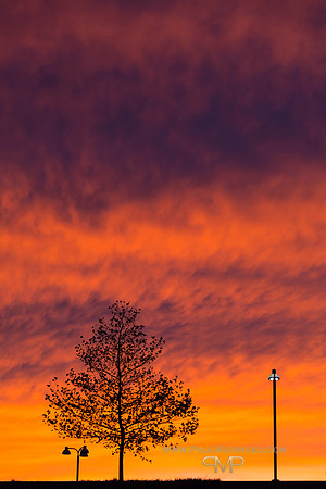 Sunset - Herndon, VA